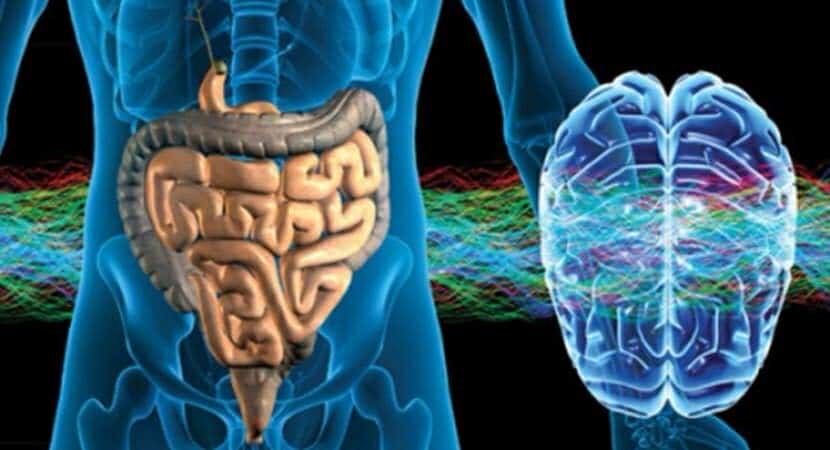 Disbiose Intestinal